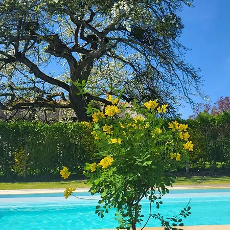 Maison Normande, Piscine Chauffee, A Quelques Minutes De La Et De Deauville, Houlgate, Cabourg Σπίτι διακοπών Annebault