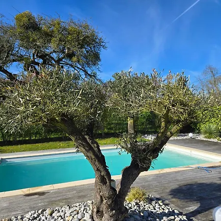 Maison Normande, Piscine Chauffee, A Quelques Minutes De La Et De Deauville, Houlgate, Cabourg Annebault